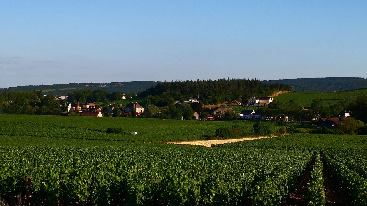 Photo of Others in Mercurey