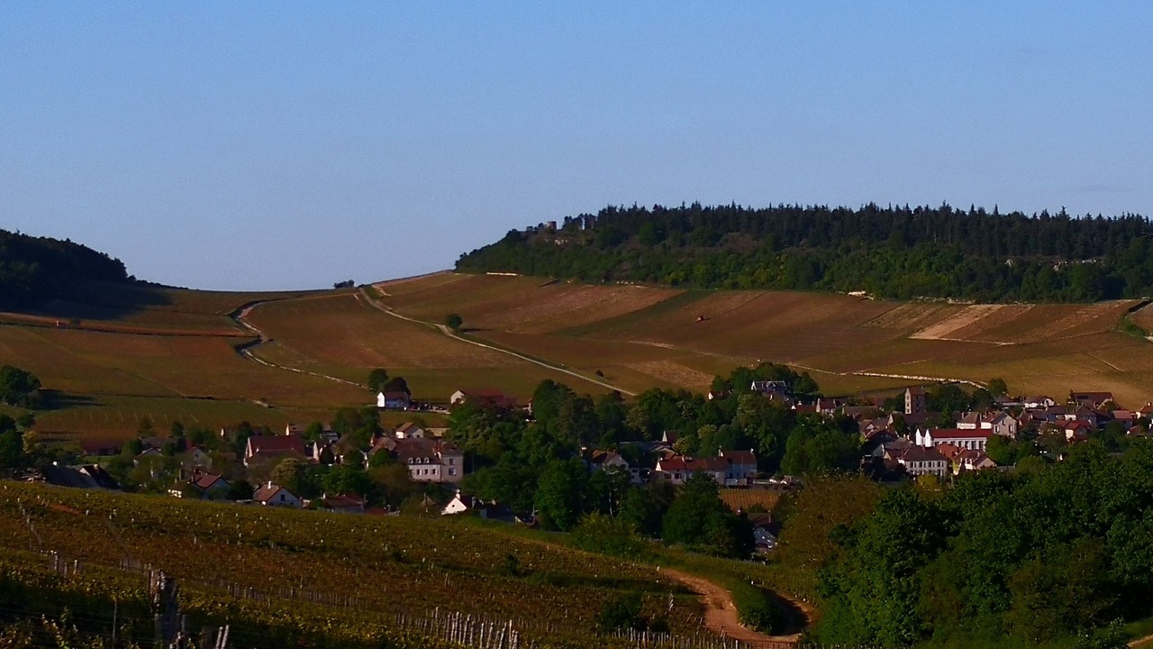 Photo of Outdoor in Mercurey