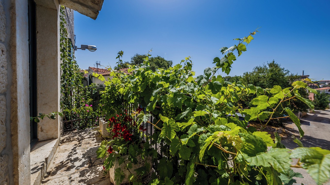 Photo of Outdoor in Seget Vranjica