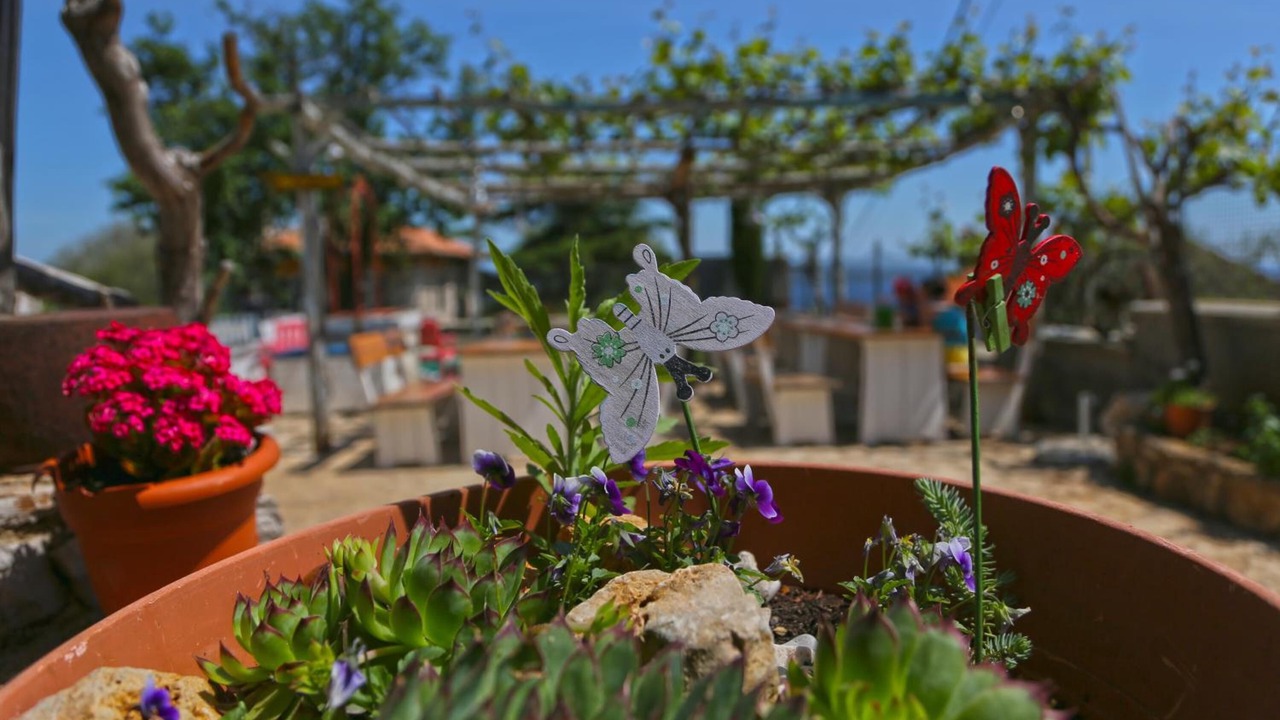Photo of Outdoor in Beli
