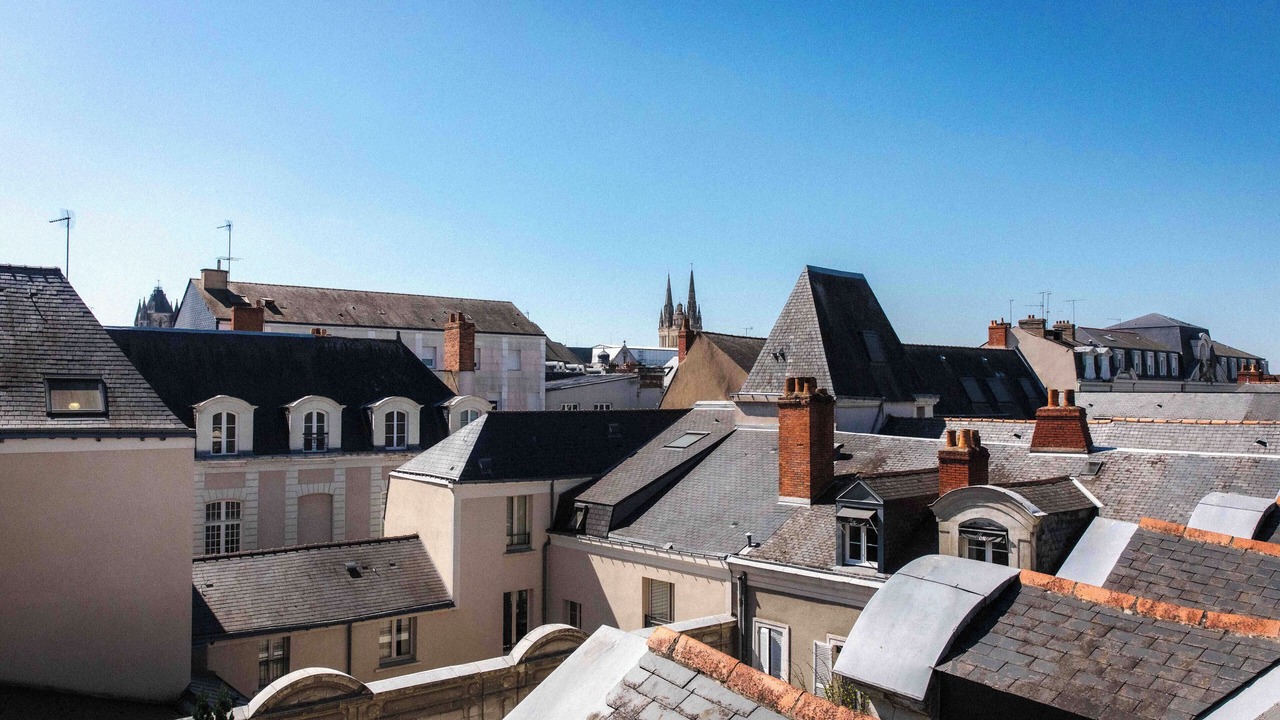 Photo of Others in Downtown Angers