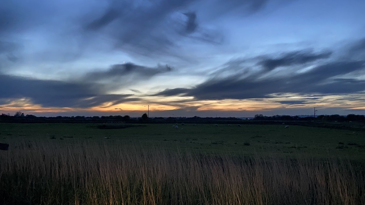 Photo of Outdoor in Burmarsh