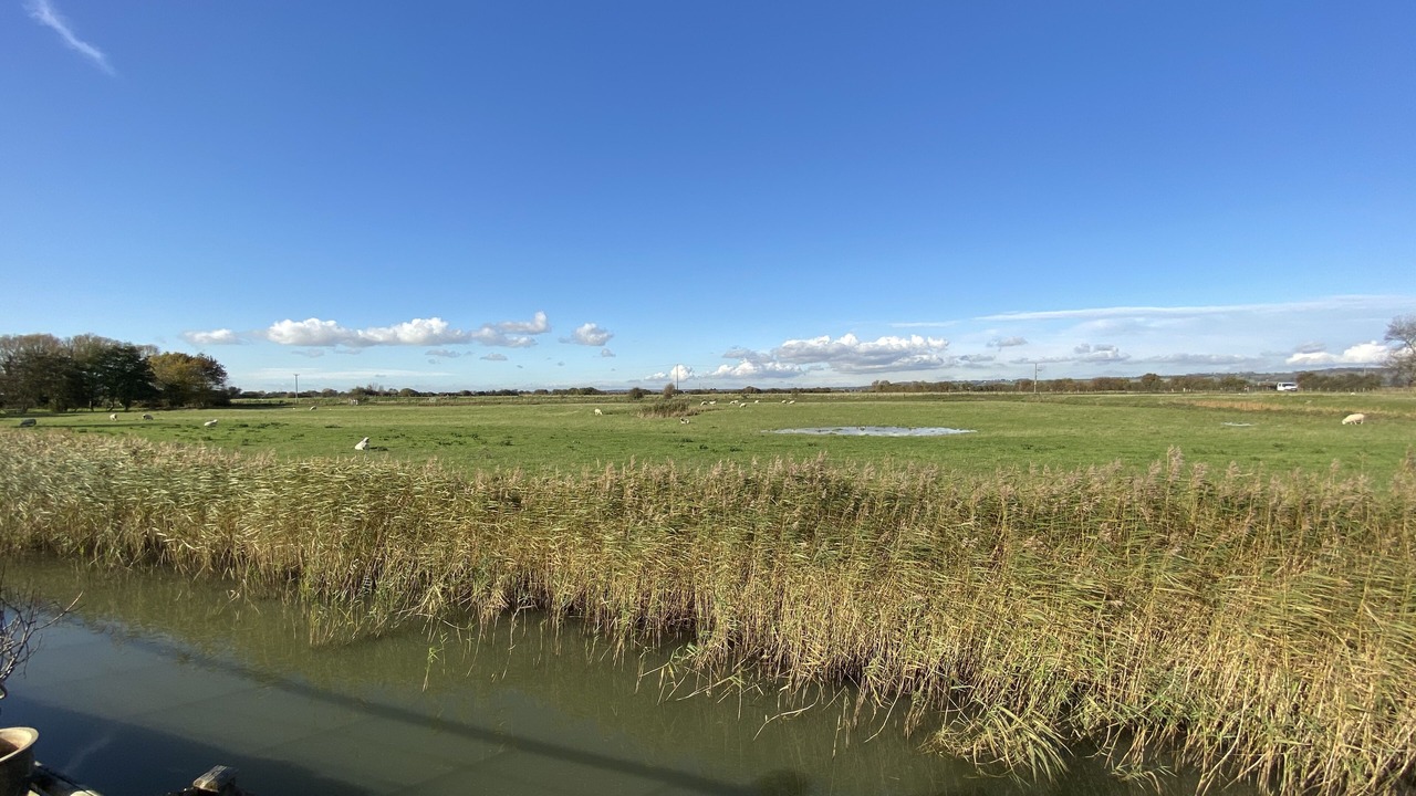 Photo of Patio Balcony in Burmarsh