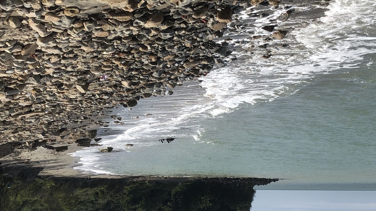 Photo of Others in Burmarsh