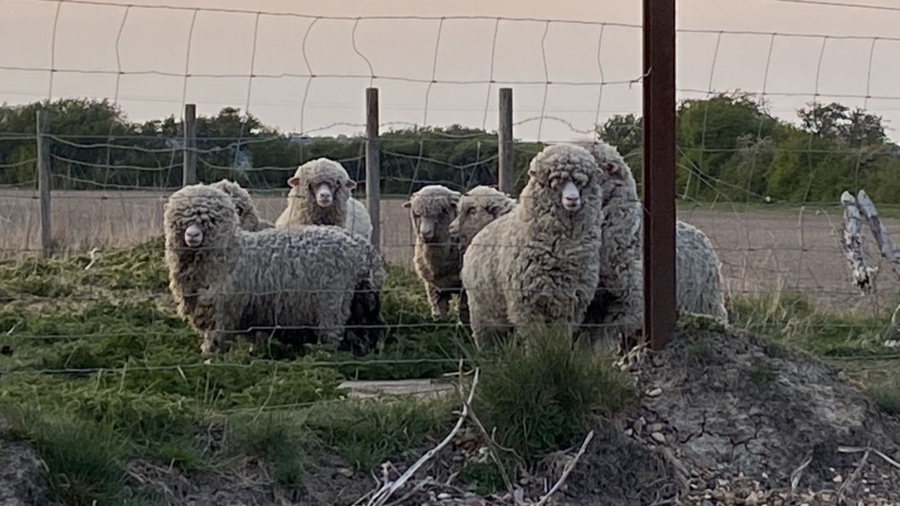 Photo of Outdoor in Burmarsh