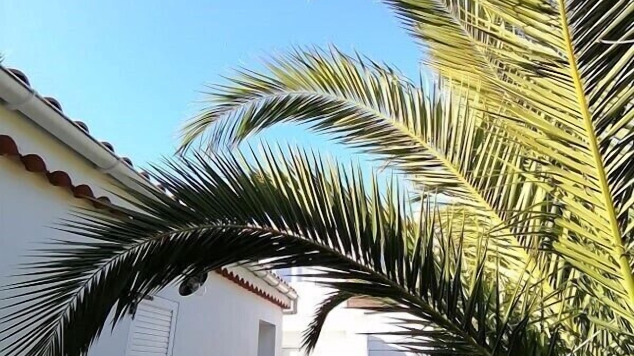 Photo of Outdoor in Noirmoutier-en-l'Ile