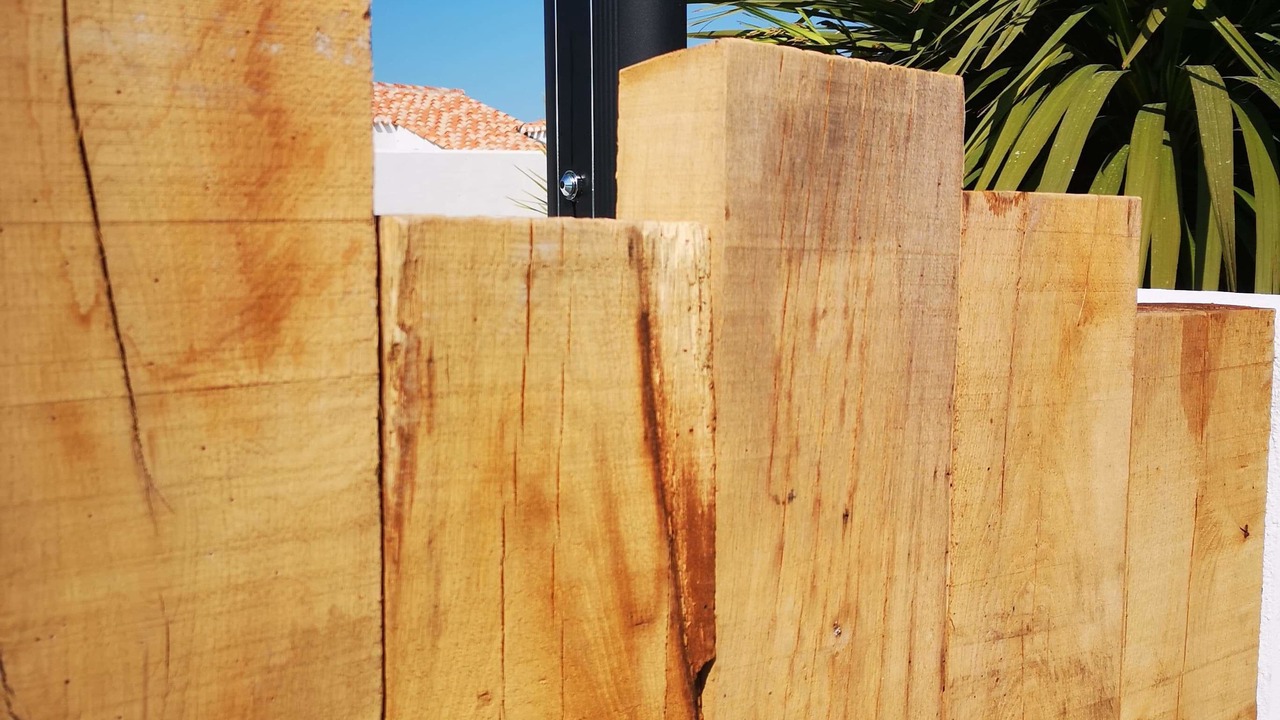 Photo of Outdoor in Noirmoutier-en-l'Ile