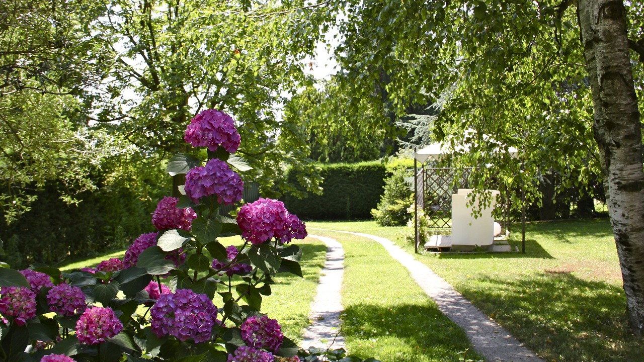 Photo of Outdoor in Cantalupa