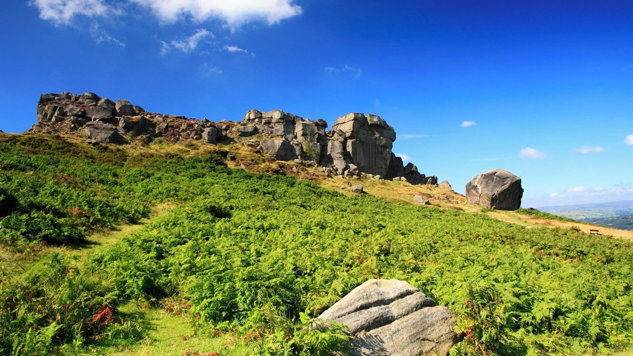 Photo of Others in Bradford