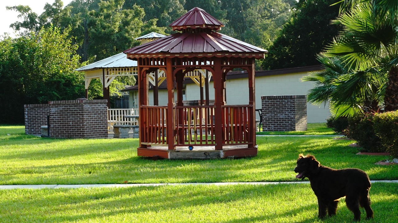 Photo of Outdoor in Garden City