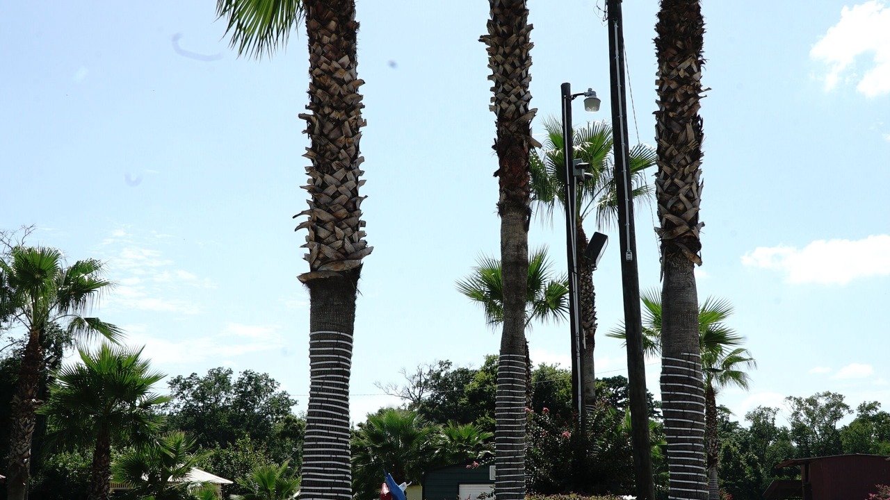 Photo of Outdoor in Garden City