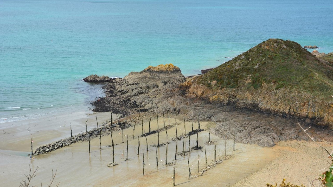 Photo of Others in Lanvollon