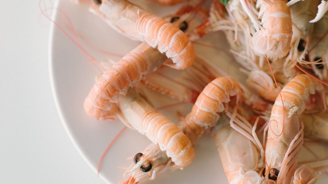 Photo of Others in Saint-Marine