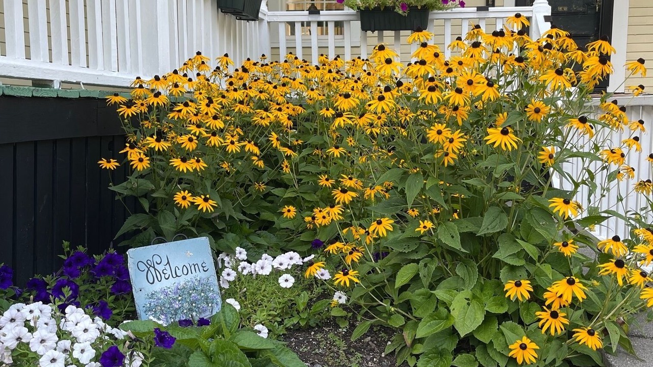 Photo of Others in Meredith