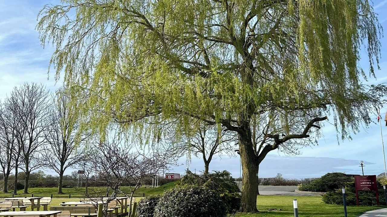 Photo of Outdoor in Wrexham