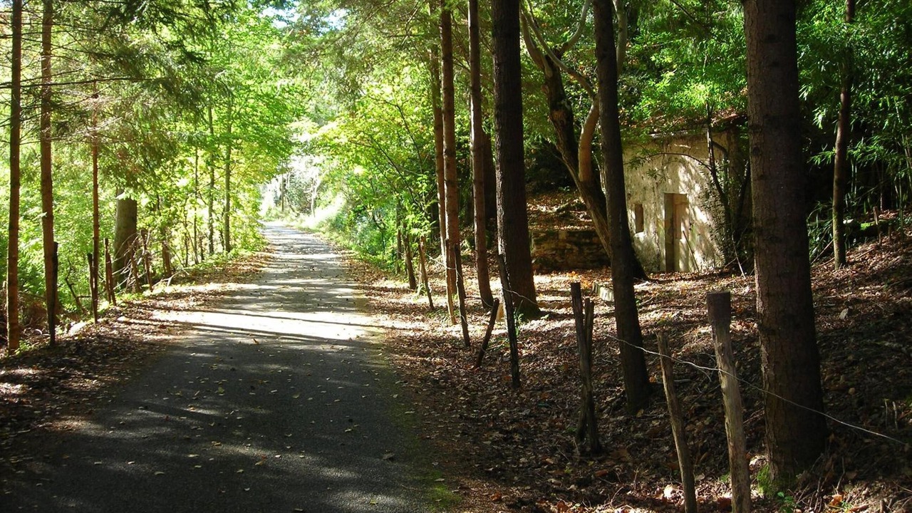 Photo of Outdoor in Najac