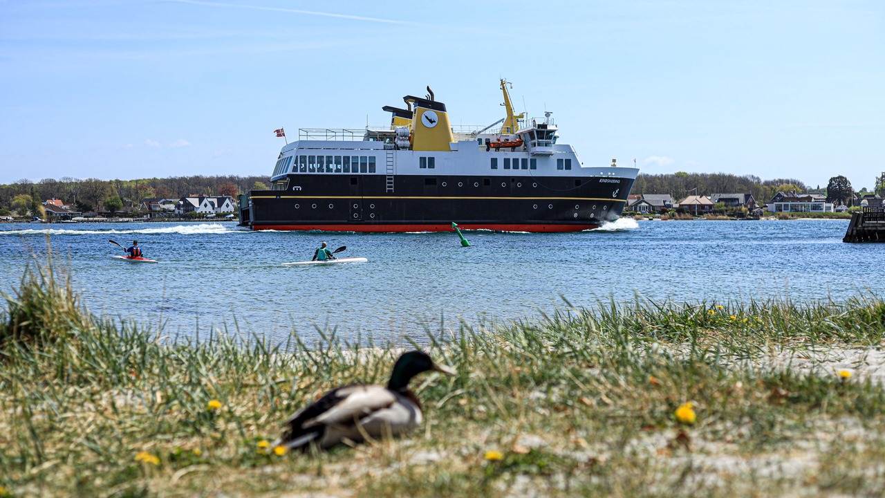 Photo of Others in Svendborg