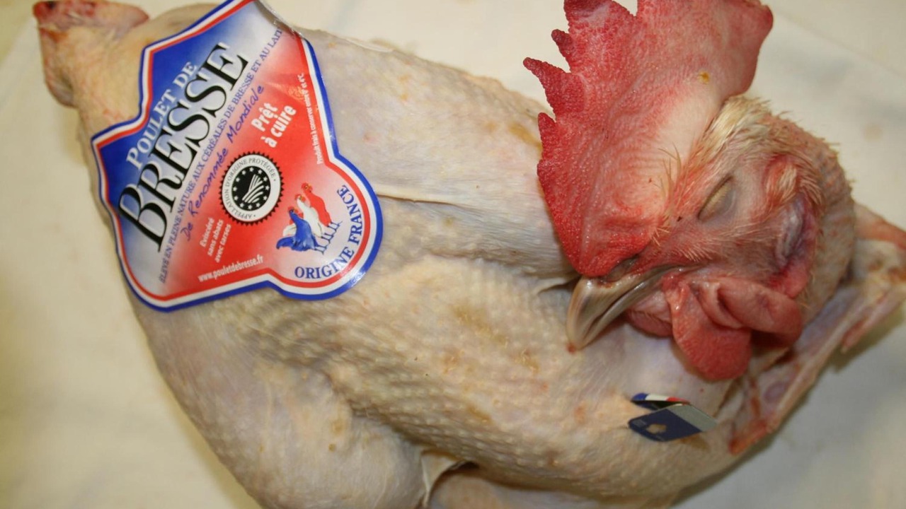 Photo of Others in Saint-Germain-du-Bois