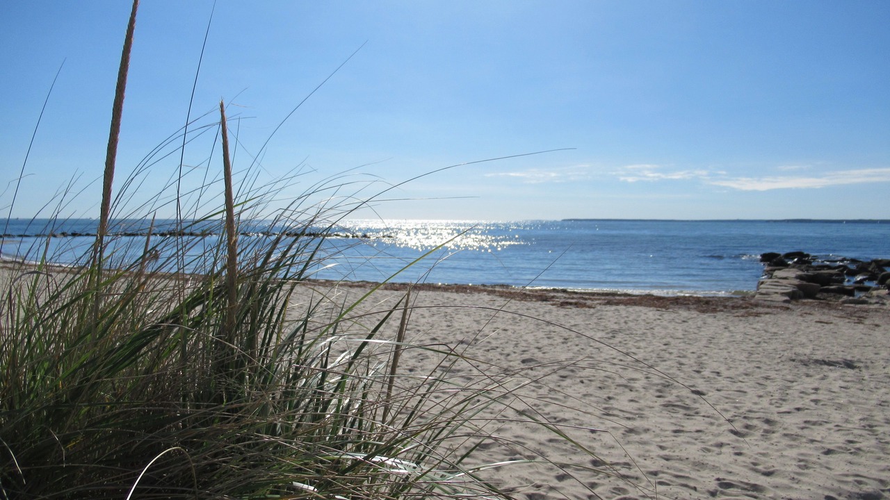 Photo of Others in Falmouth Heights