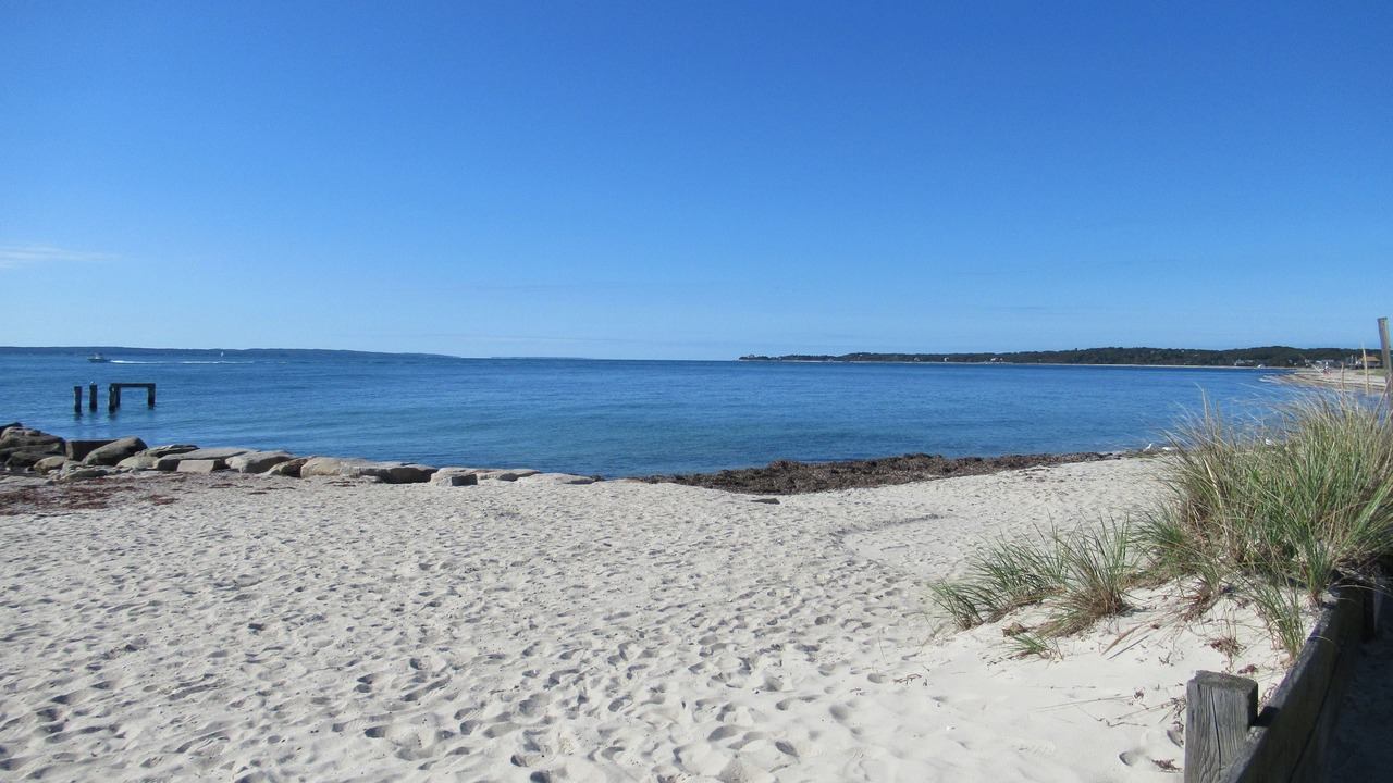 Photo of Others in Falmouth Heights