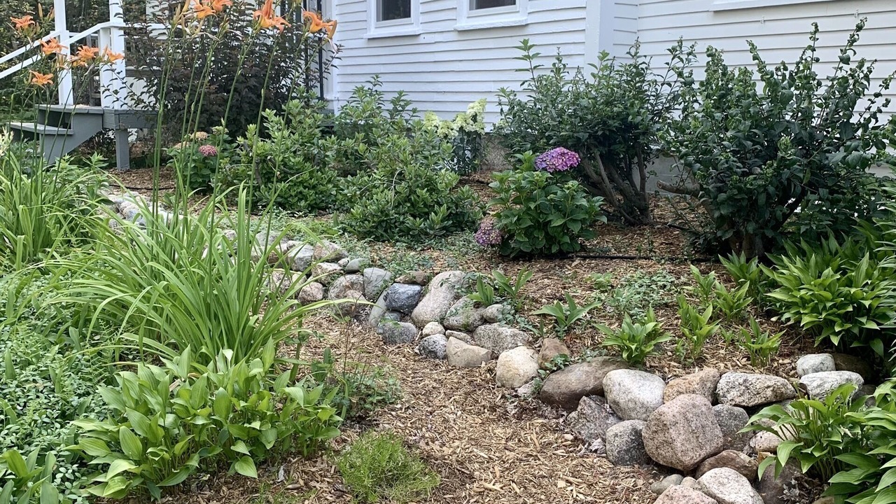 Photo of Outdoor in Intervale