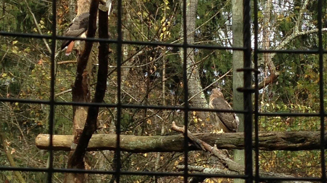 Photo of Others in Amenia