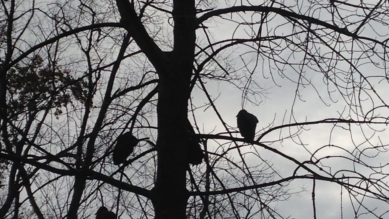 Photo of Others in Amenia