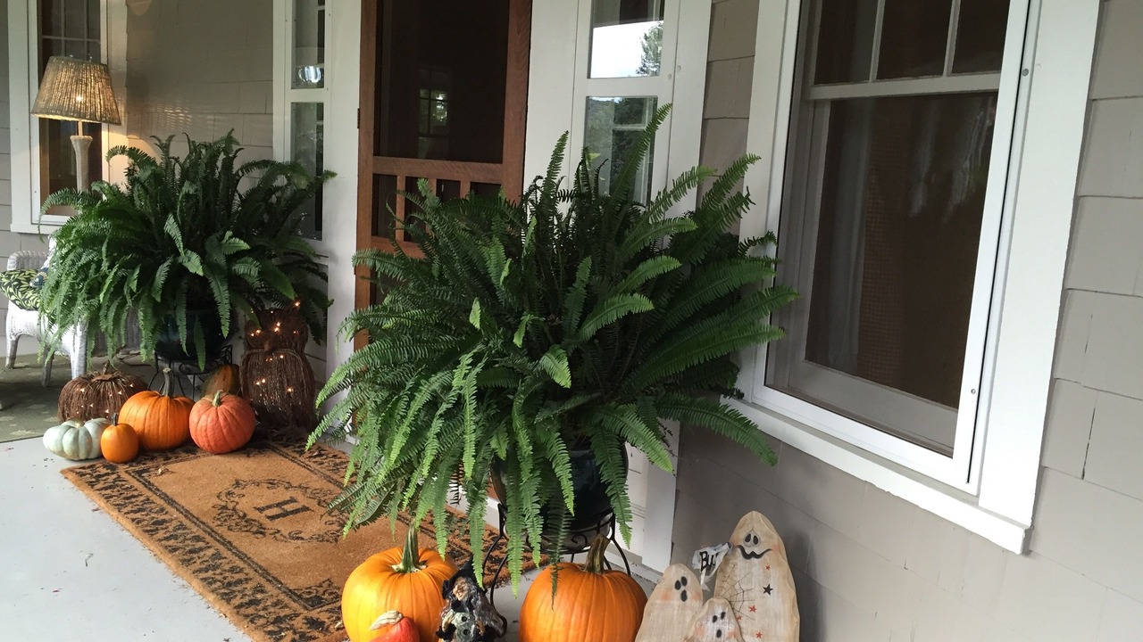 Photo of Outdoor in Amenia