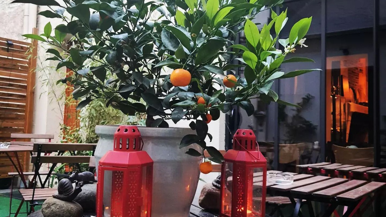 Photo of Outdoor in Old Town