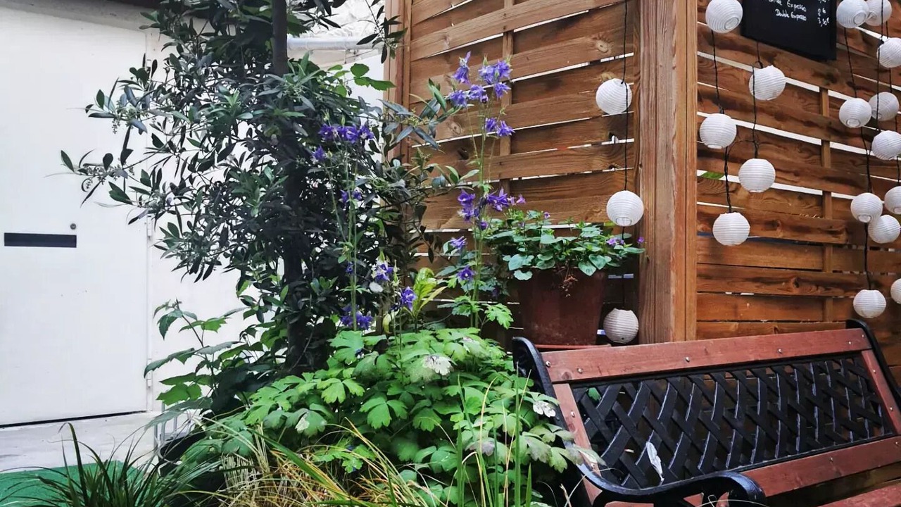 Photo of Outdoor in Old Town