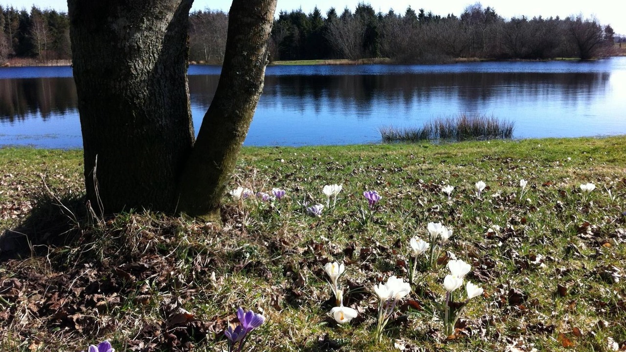 Photo of Outdoor in Silkeborg