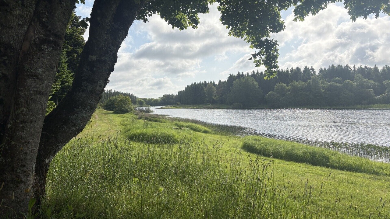 Photo of Outdoor in Silkeborg