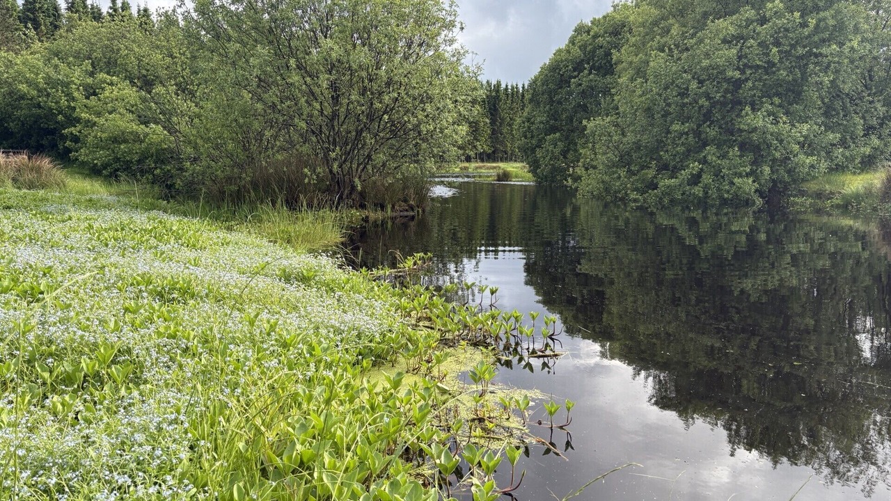 Photo of Outdoor in Silkeborg