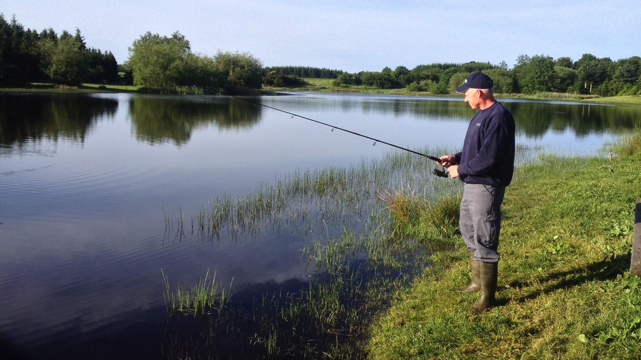 Photo of Others in Silkeborg