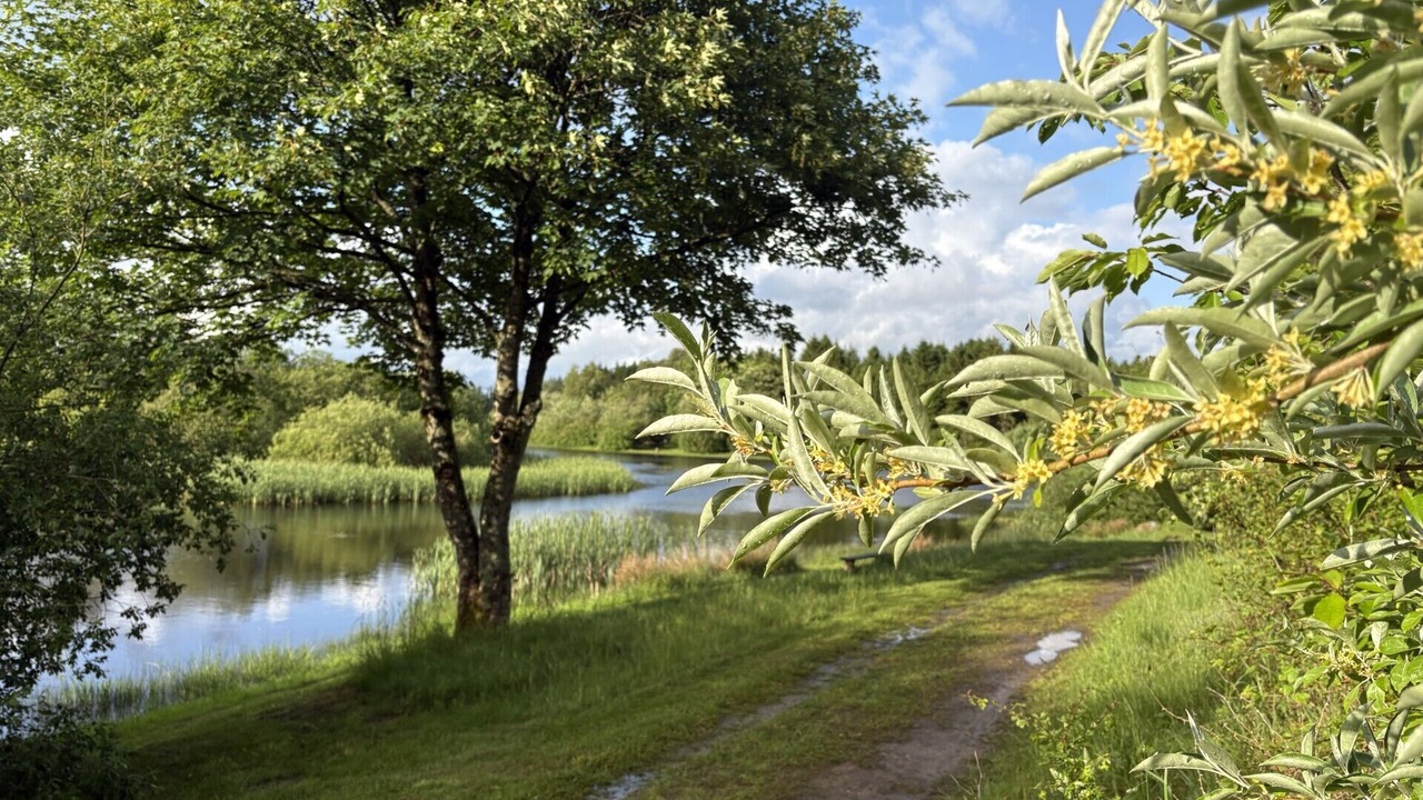 Photo of Others in Silkeborg