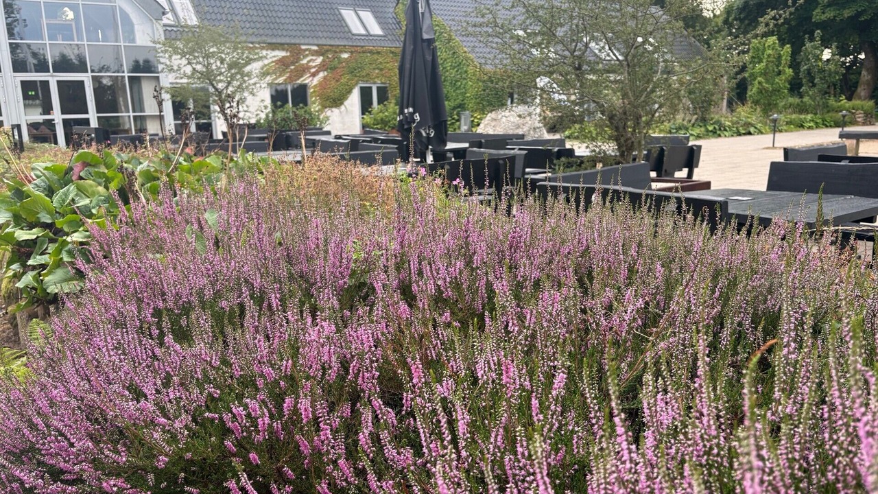 Photo of Outdoor in Silkeborg