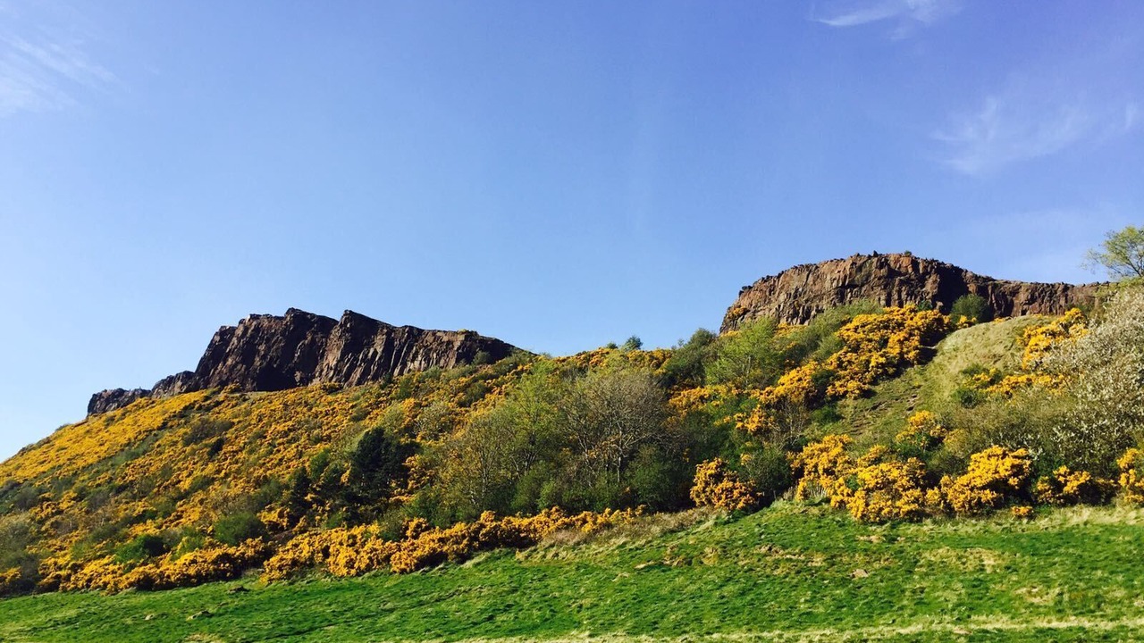 Photo of Others in Newington