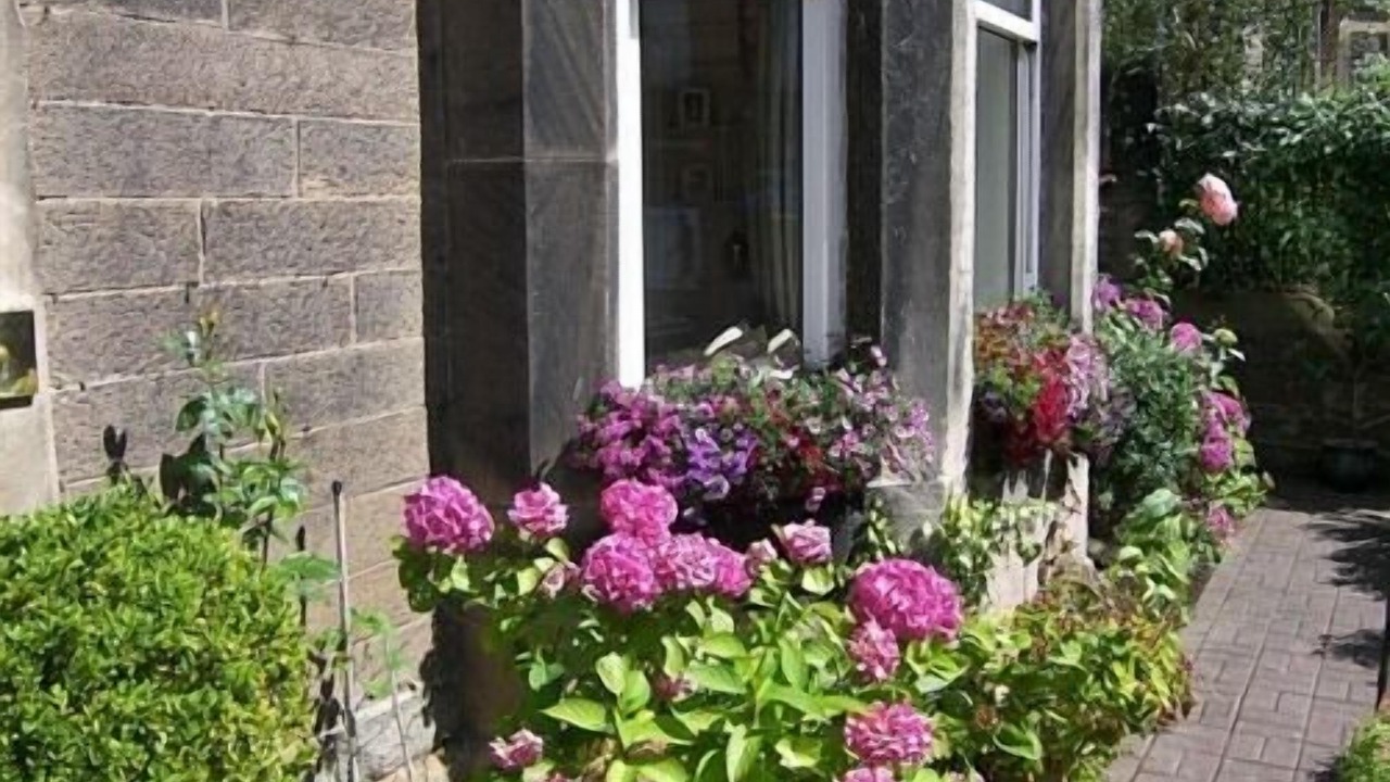 Photo of Outdoor in Newington