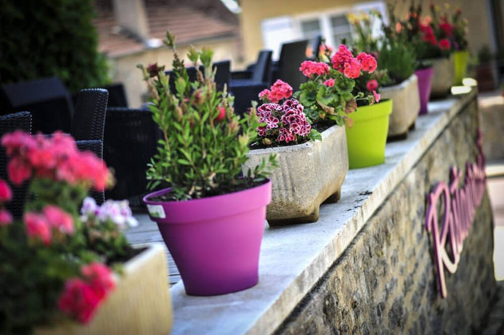 Photo of Outdoor in Alvignac