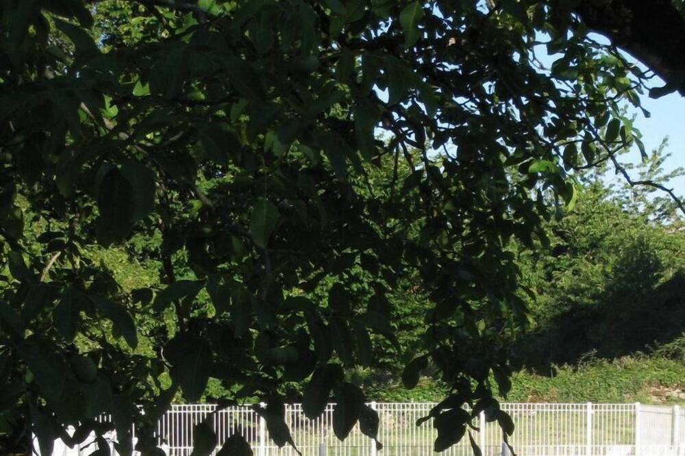 Photo of Outdoor in Alvignac
