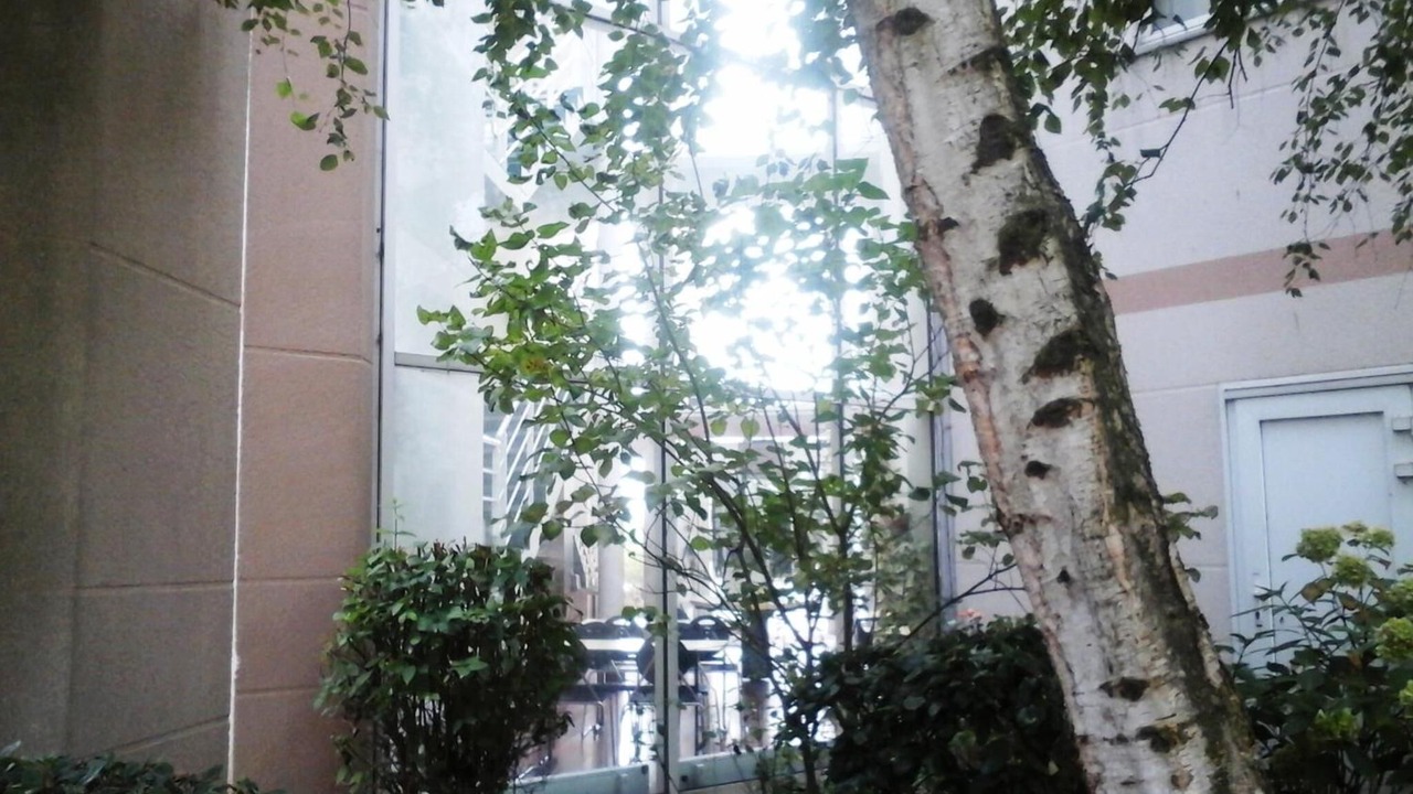 Photo of Outdoor in Arques