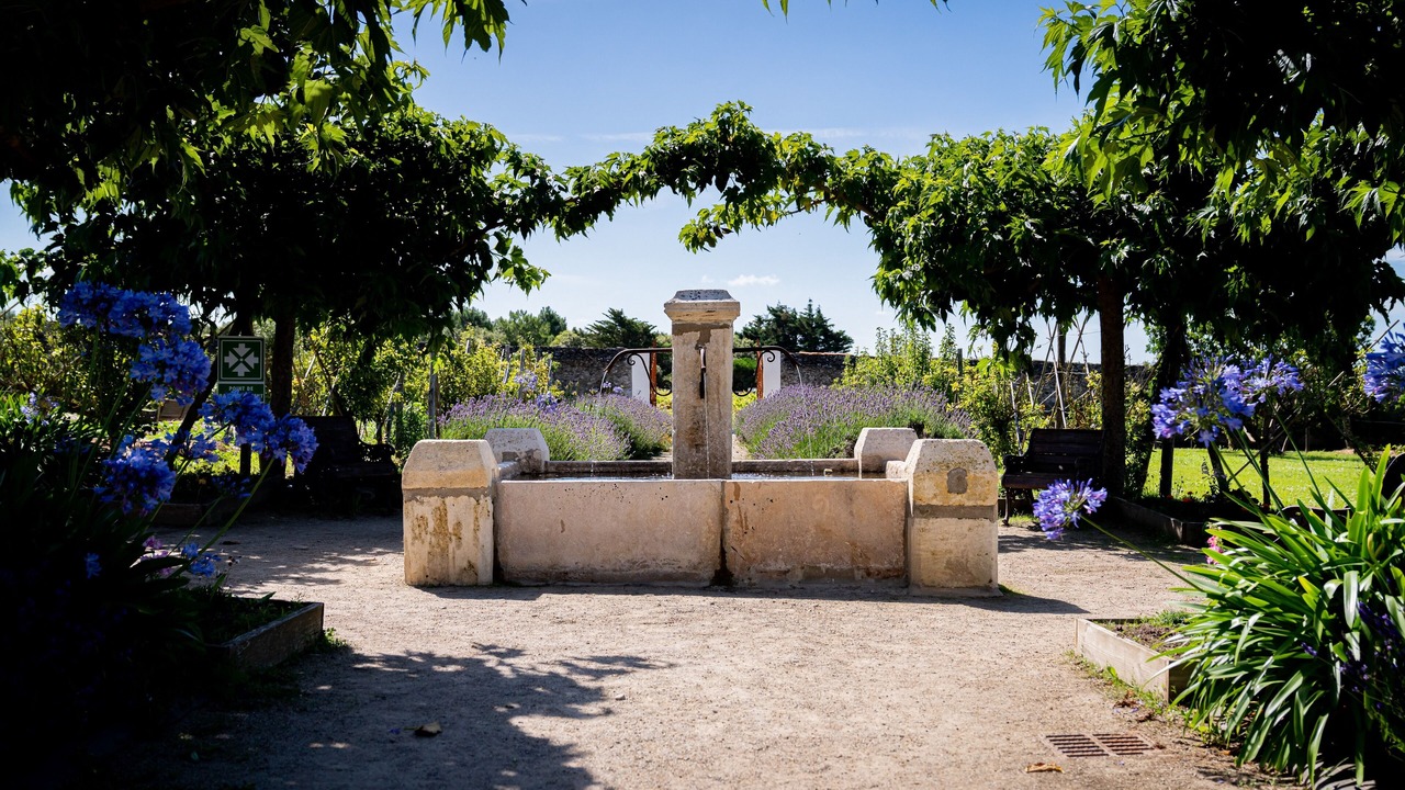Photo of Outdoor in Pornic