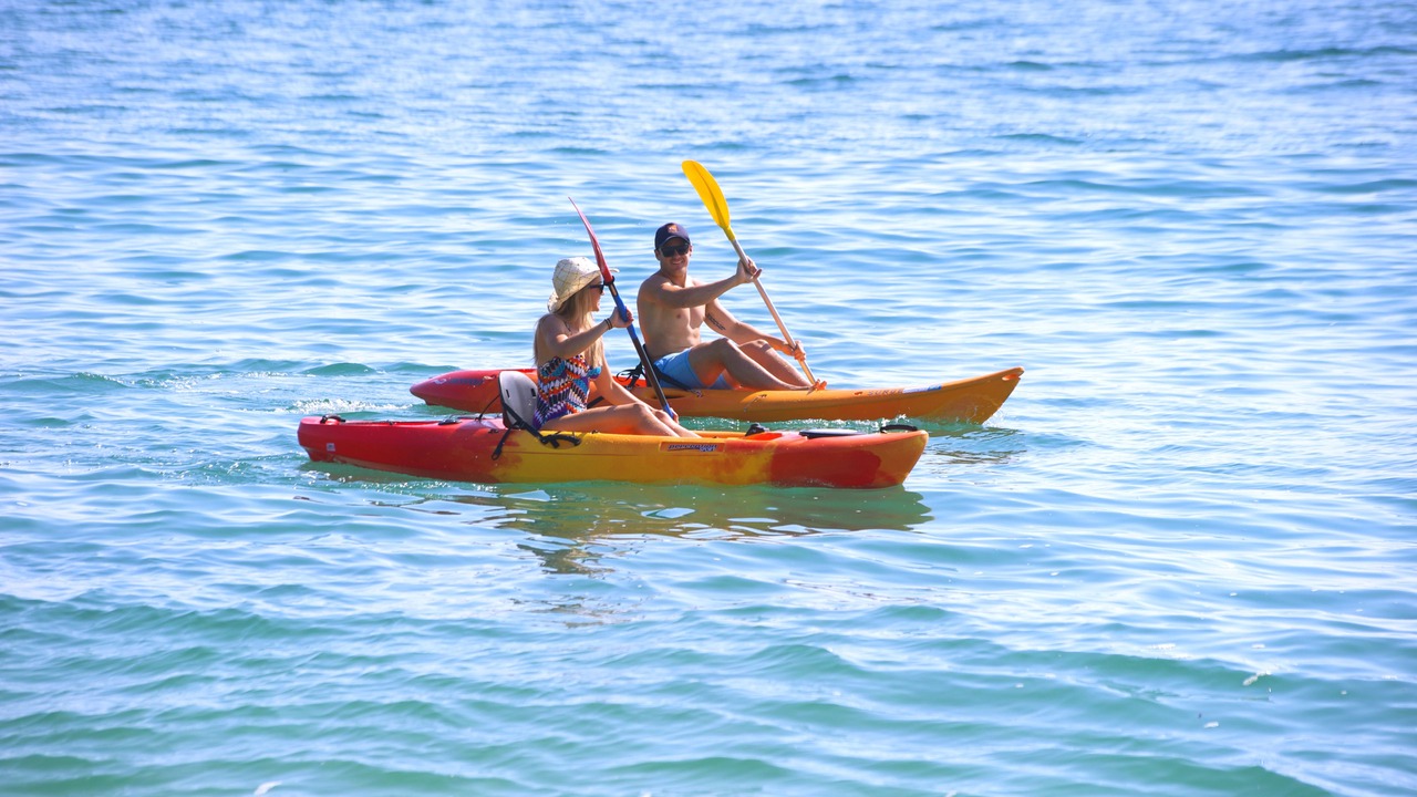 Photo of Others in Nelson Bay
