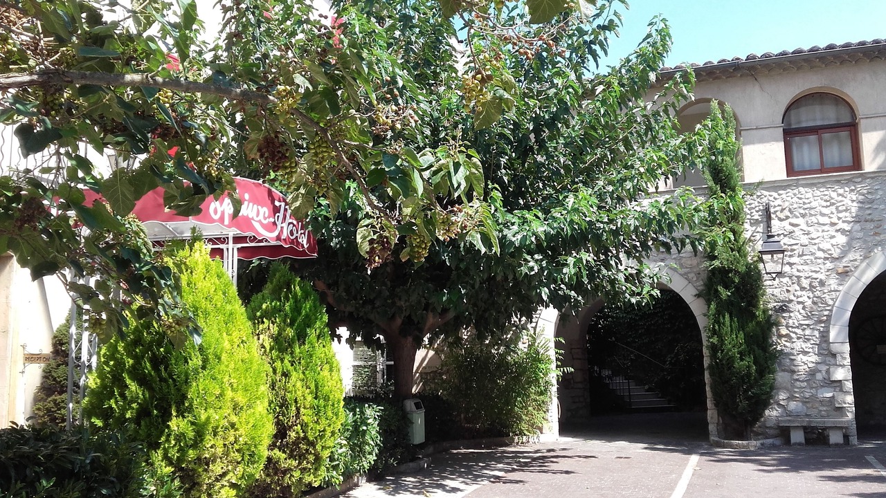 Photo of Outdoor in Montelimar