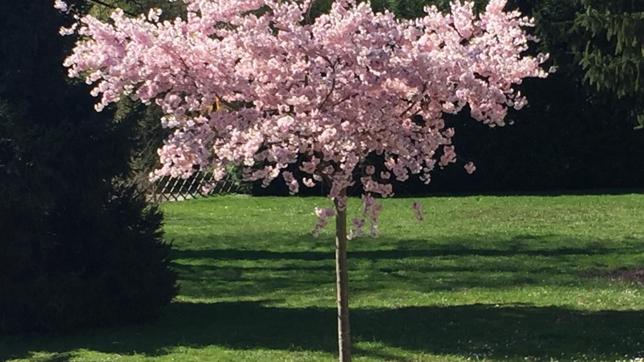 Photo of Outdoor in Erstein
