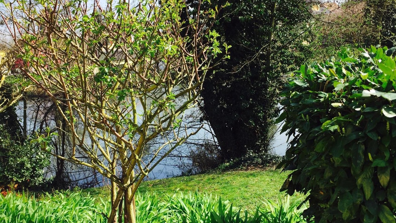 Photo of Outdoor in Erstein