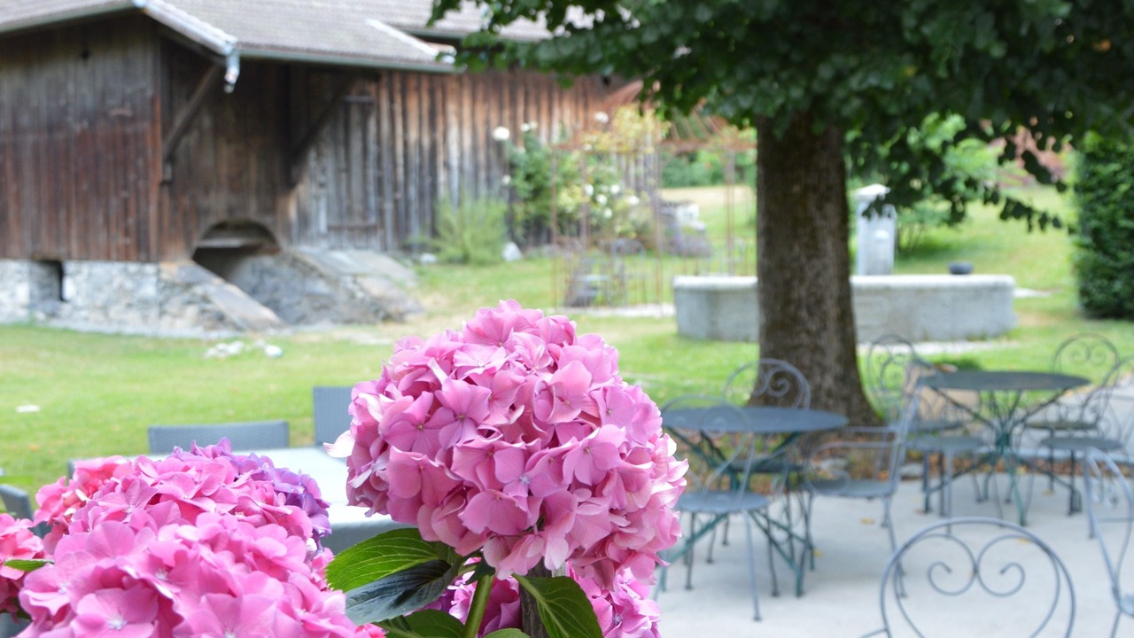 Photo of Patio Balcony in Magland