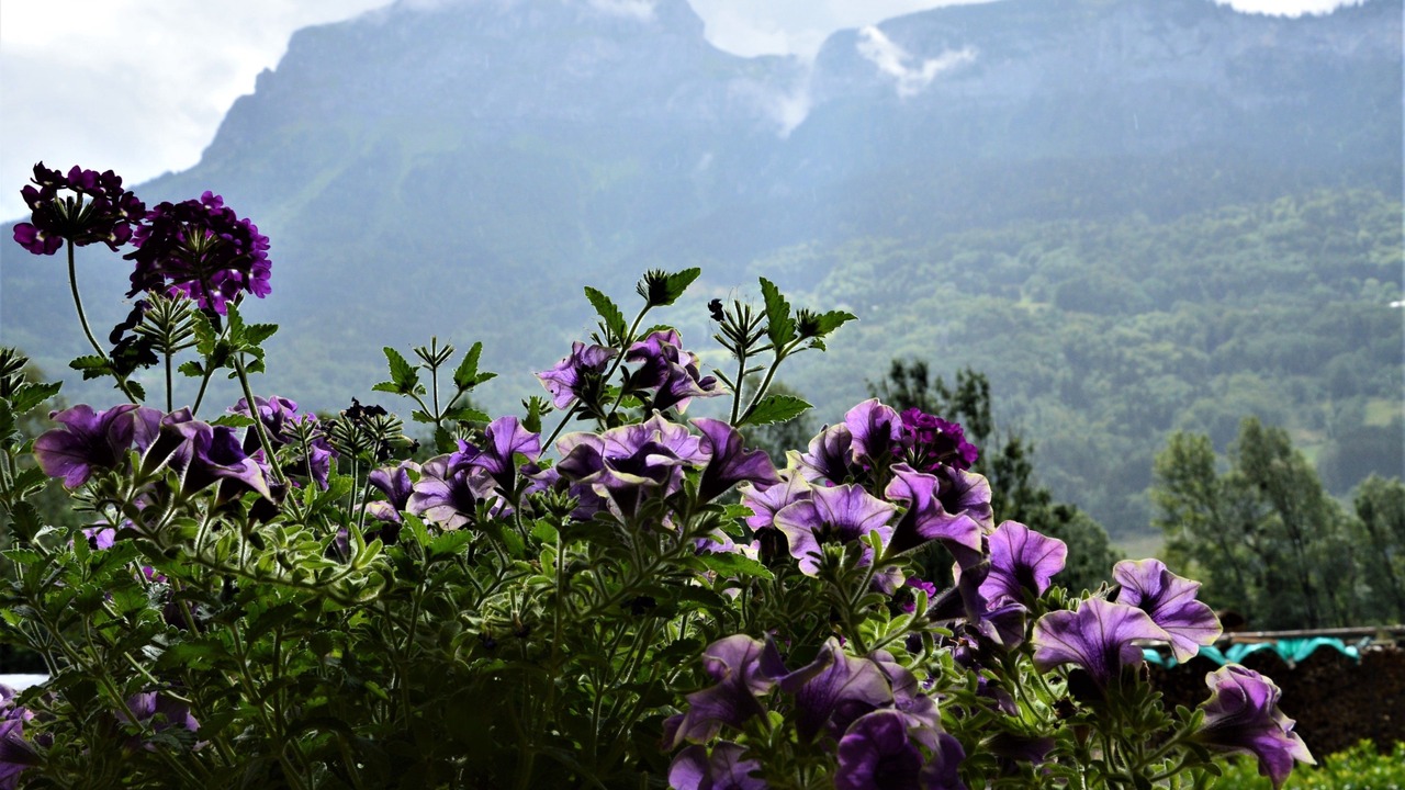 Photo of Patio Balcony in Magland