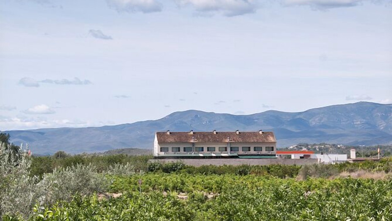 Photo of Outdoor in Lliria