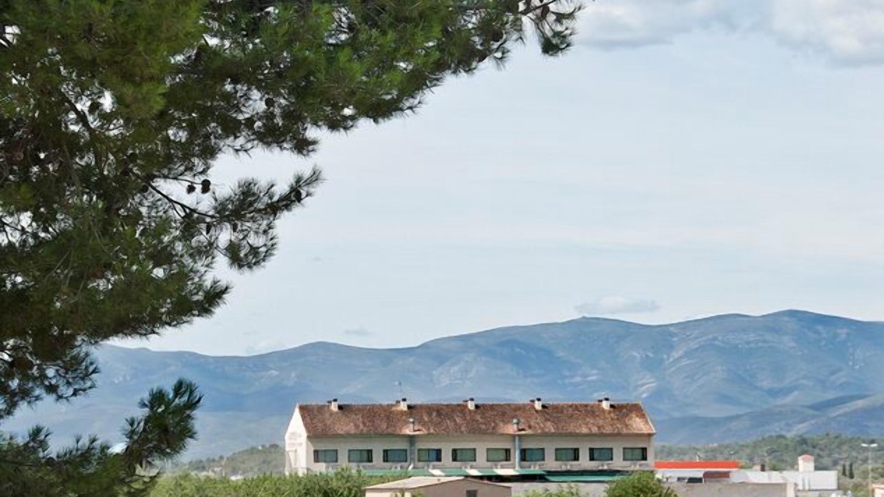 Photo of Others in Lliria